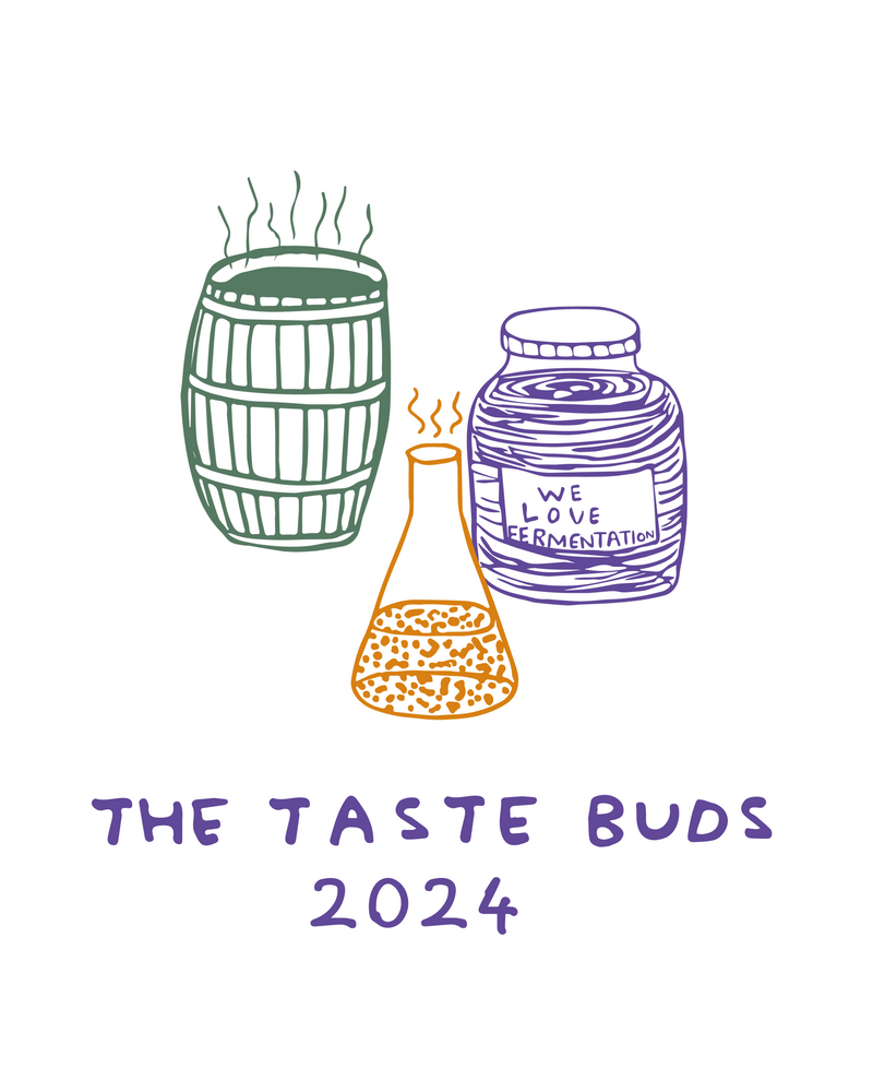 Taste Buds 2024｜ノマR&Dクラブ｜Sold Out